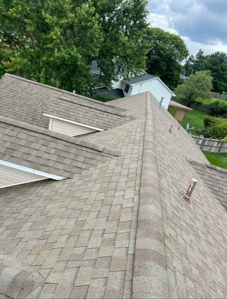 Aerial view of a residential roof with gray asphalt shingles, skylights, and surrounding houses and green trees
