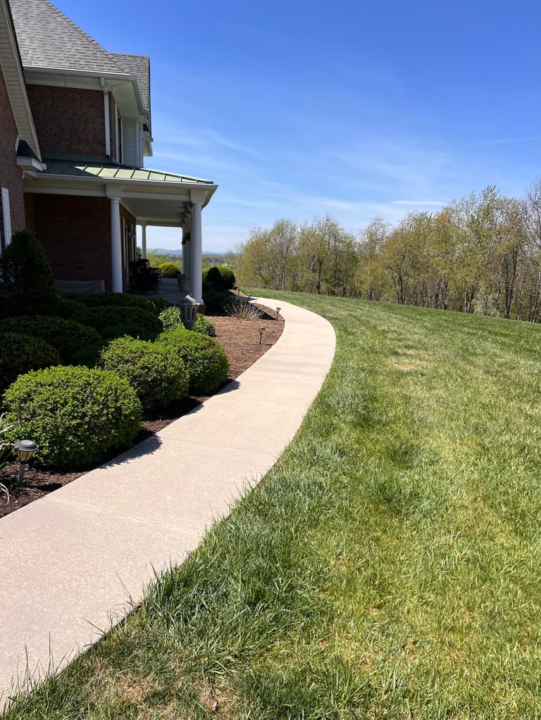 A curved concrete walkway leading to a brick house with columns, surrounded by manicured landscaping and open lawn under a clear blue sky