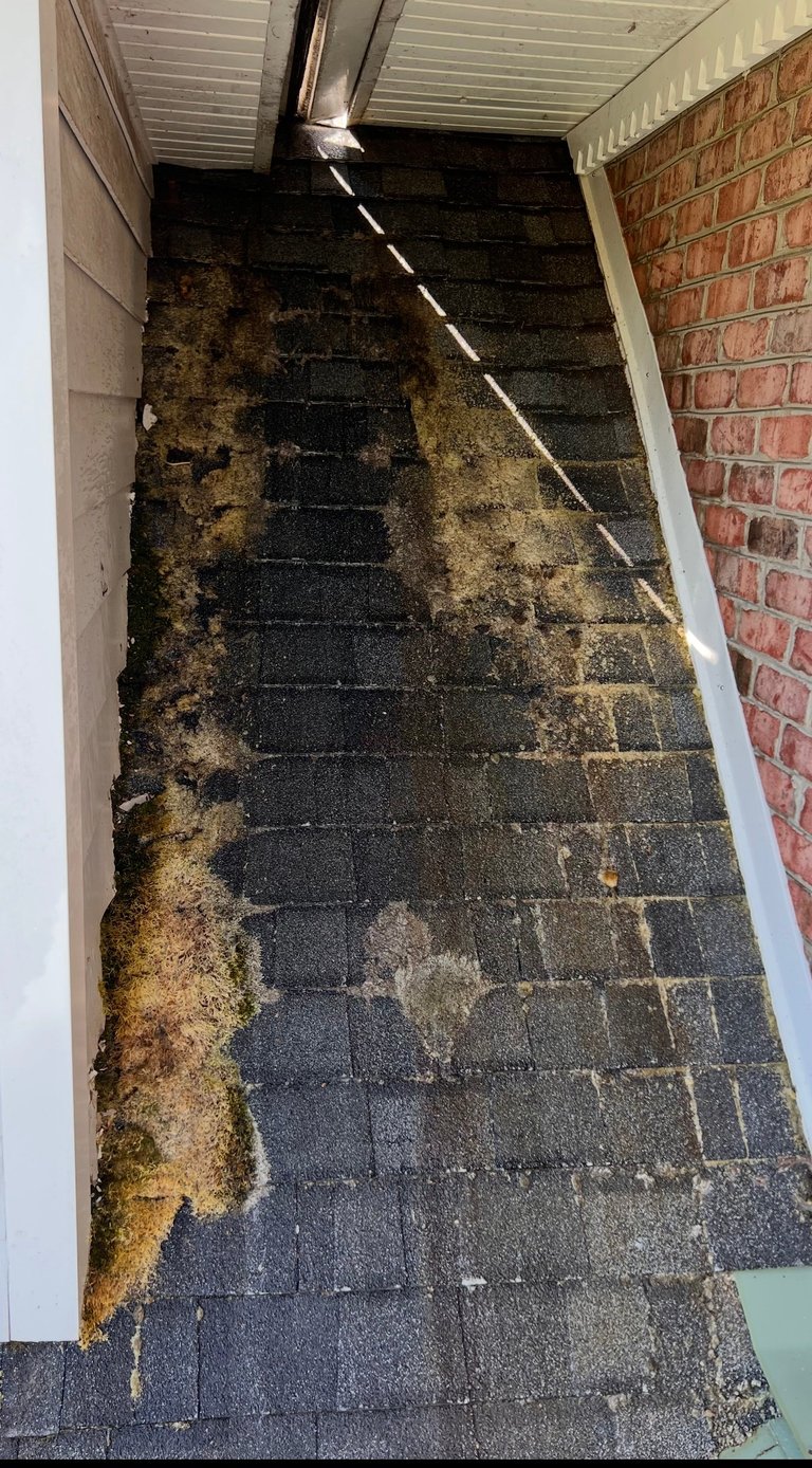 Dark outdoor staircase covered with moss and mold stains, with brick wall on right and metal railing on left