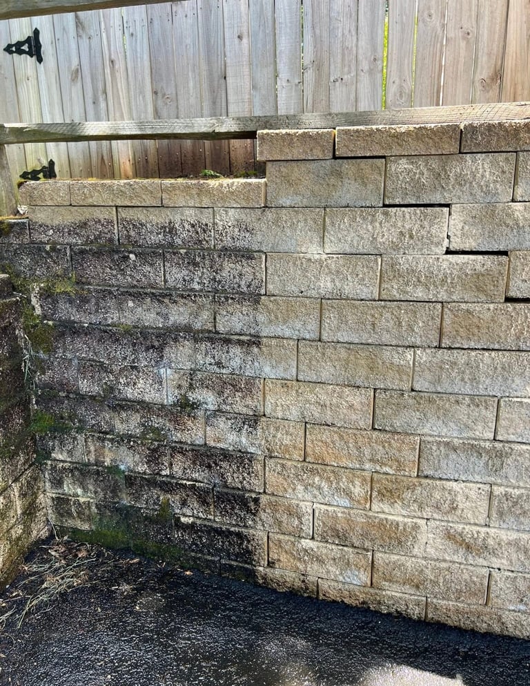 Stone retaining wall with moss and algae growth, showing weathered tan and gray concrete blocks stacked in rows, backed by a wooden fence
