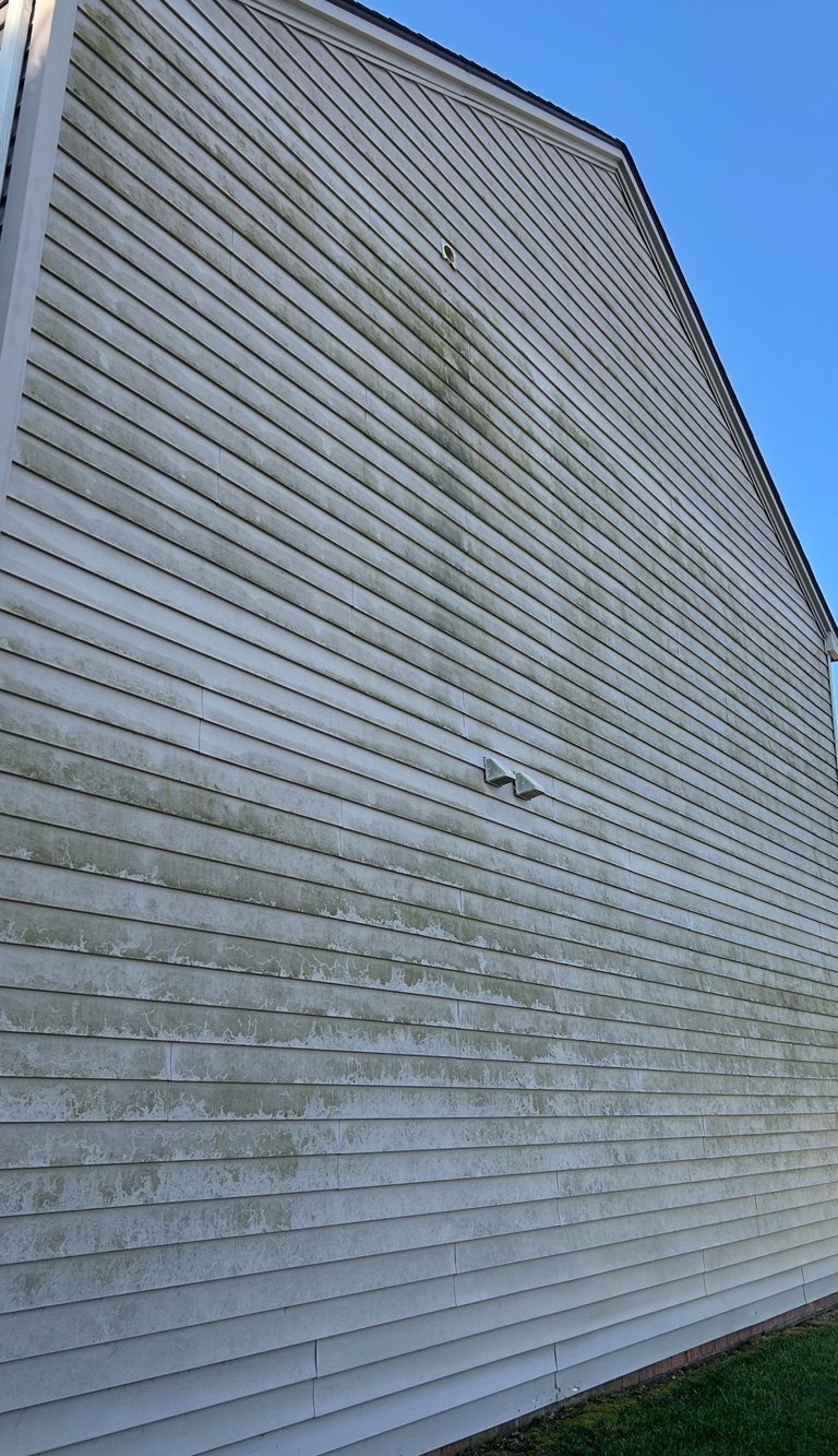 Side of a house with gray horizontal vinyl siding showing moss and mold staining on lower section against blue sky